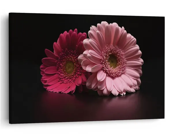 Multicolor_16_X_24_Inch,_Pine_Wood_Framed_Canvas_Paintings_|_For_Home_Decor,_Ready_To_Wall_Hanging,_Premium_Painting_|_For_|_Bedroom,_Living_Room,_Office_Wall_Decoration_|_Wall_Art_Painting,_Ct2431