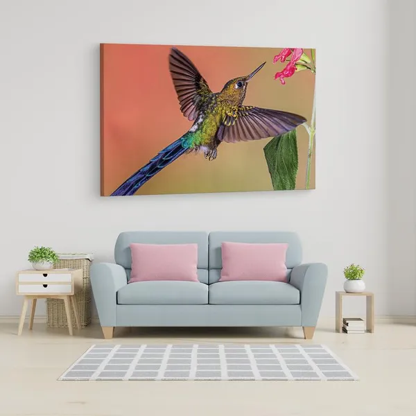 Multicolor_16_X_24_Inch,_Pine_Wood_Framed_Canvas_Paintings_|_For_Home_Decor,_Ready_To_Wall_Hanging,_Premium_Painting_|_For_|_Bedroom,_Living_Room,_Office_Wall_Decoration_|_Wall_Art_Painting,_Ct2432