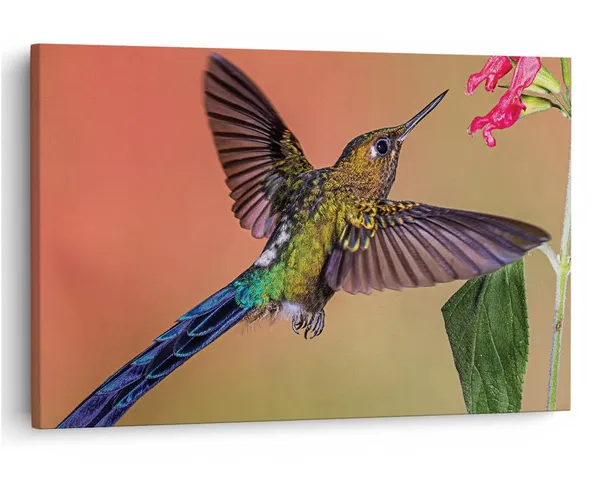 Multicolor_16_X_24_Inch,_Pine_Wood_Framed_Canvas_Paintings_|_For_Home_Decor,_Ready_To_Wall_Hanging,_Premium_Painting_|_For_|_Bedroom,_Living_Room,_Office_Wall_Decoration_|_Wall_Art_Painting,_Ct2432