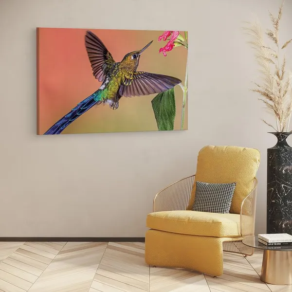 Multicolor_16_X_24_Inch,_Pine_Wood_Framed_Canvas_Paintings_|_For_Home_Decor,_Ready_To_Wall_Hanging,_Premium_Painting_|_For_|_Bedroom,_Living_Room,_Office_Wall_Decoration_|_Wall_Art_Painting,_Ct2432