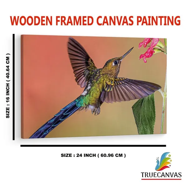 Multicolor_16_X_24_Inch,_Pine_Wood_Framed_Canvas_Paintings_|_For_Home_Decor,_Ready_To_Wall_Hanging,_Premium_Painting_|_For_|_Bedroom,_Living_Room,_Office_Wall_Decoration_|_Wall_Art_Painting,_Ct2432