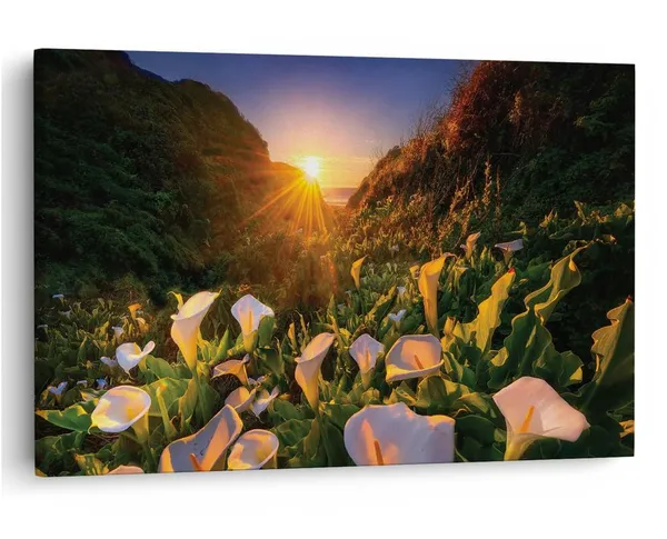 Multicolor_16_X_24_Inch,_Pine_Wood_Framed_Canvas_Paintings_|_For_Home_Decor,_Ready_To_Wall_Hanging,_Premium_Painting_|_For_|_Bedroom,_Living_Room,_Office_Wall_Decoration_|_Wall_Art_Painting,_Ct2434