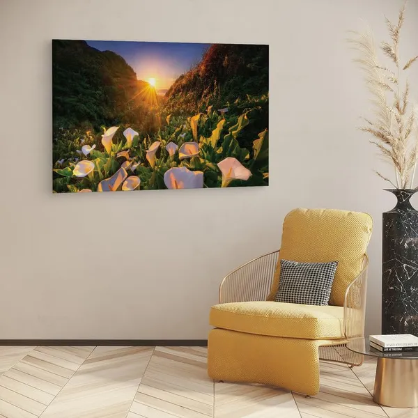 Multicolor_16_X_24_Inch,_Pine_Wood_Framed_Canvas_Paintings_|_For_Home_Decor,_Ready_To_Wall_Hanging,_Premium_Painting_|_For_|_Bedroom,_Living_Room,_Office_Wall_Decoration_|_Wall_Art_Painting,_Ct2434