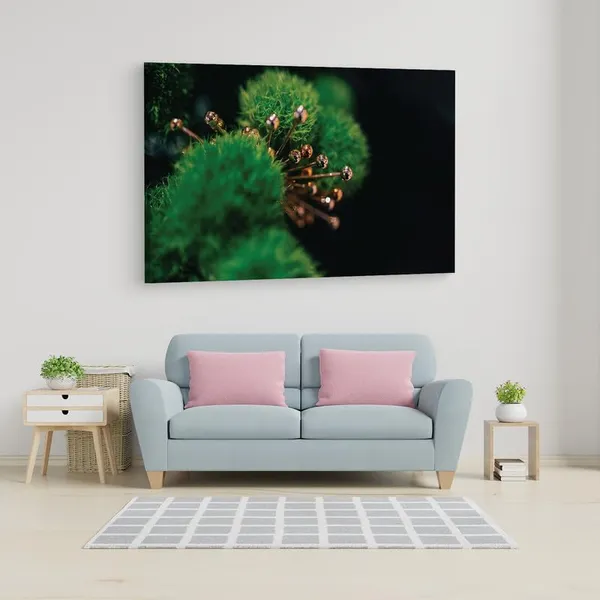 Multicolor_16_X_24_Inch,_Pine_Wood_Framed_Canvas_Paintings_|_For_Home_Decor,_Ready_To_Wall_Hanging,_Premium_Painting_|_For_|_Bedroom,_Living_Room,_Office_Wall_Decoration_|_Wall_Art_Painting,_Ct2435