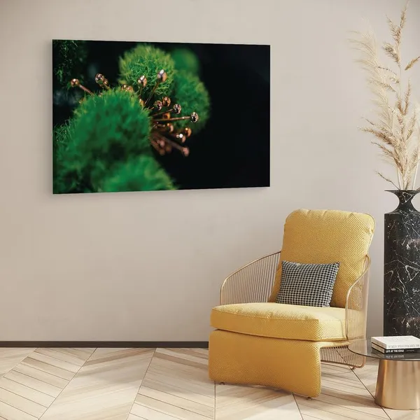 Multicolor_16_X_24_Inch,_Pine_Wood_Framed_Canvas_Paintings_|_For_Home_Decor,_Ready_To_Wall_Hanging,_Premium_Painting_|_For_|_Bedroom,_Living_Room,_Office_Wall_Decoration_|_Wall_Art_Painting,_Ct2435
