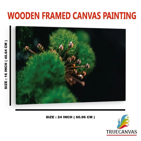 Multicolor_16_X_24_Inch,_Pine_Wood_Framed_Canvas_Paintings_|_For_Home_Decor,_Ready_To_Wall_Hanging,_Premium_Painting_|_For_|_Bedroom,_Living_Room,_Office_Wall_Decoration_|_Wall_Art_Painting,_Ct2435