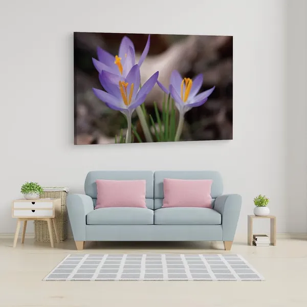 Multicolor_16_X_24_Inch,_Pine_Wood_Framed_Canvas_Paintings_|_For_Home_Decor,_Ready_To_Wall_Hanging,_Premium_Painting_|_For_|_Bedroom,_Living_Room,_Office_Wall_Decoration_|_Wall_Art_Painting,_Ct2437