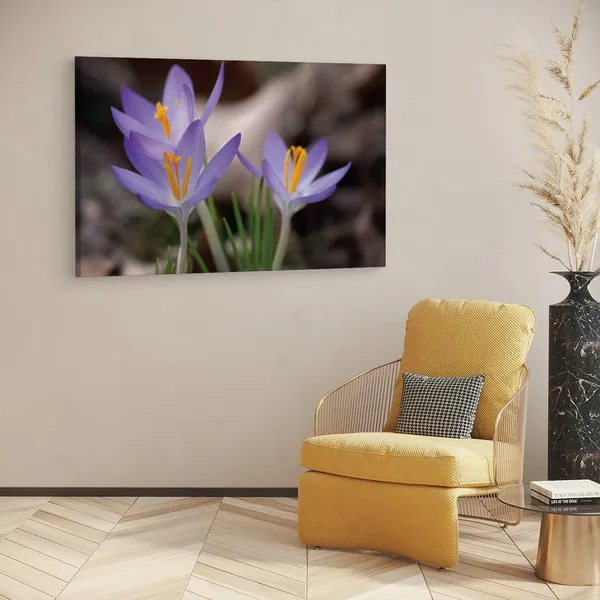 Multicolor_16_X_24_Inch,_Pine_Wood_Framed_Canvas_Paintings_|_For_Home_Decor,_Ready_To_Wall_Hanging,_Premium_Painting_|_For_|_Bedroom,_Living_Room,_Office_Wall_Decoration_|_Wall_Art_Painting,_Ct2437