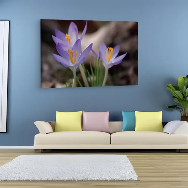 Multicolor_16_X_24_Inch,_Pine_Wood_Framed_Canvas_Paintings_|_For_Home_Decor,_Ready_To_Wall_Hanging,_Premium_Painting_|_For_|_Bedroom,_Living_Room,_Office_Wall_Decoration_|_Wall_Art_Painting,_Ct2437