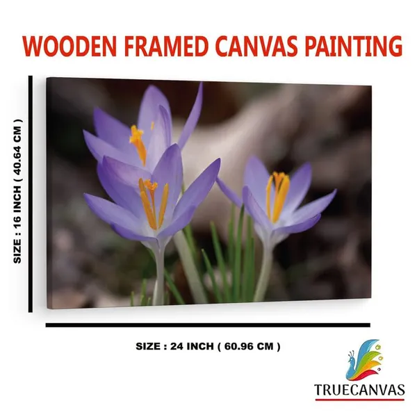 Multicolor_16_X_24_Inch,_Pine_Wood_Framed_Canvas_Paintings_|_For_Home_Decor,_Ready_To_Wall_Hanging,_Premium_Painting_|_For_|_Bedroom,_Living_Room,_Office_Wall_Decoration_|_Wall_Art_Painting,_Ct2437