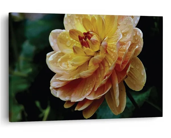 Multicolor_16_X_24_Inch,_Pine_Wood_Framed_Canvas_Paintings_|_For_Home_Decor,_Ready_To_Wall_Hanging,_Premium_Painting_|_For_|_Bedroom,_Living_Room,_Office_Wall_Decoration_|_Wall_Art_Painting,_Ct2439