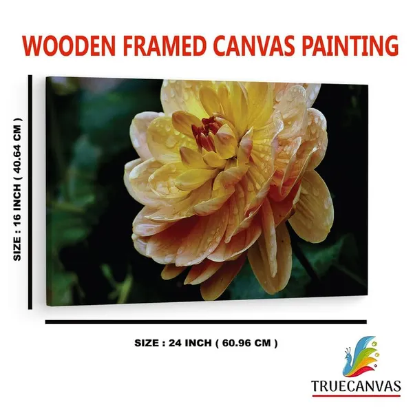 Multicolor_16_X_24_Inch,_Pine_Wood_Framed_Canvas_Paintings_|_For_Home_Decor,_Ready_To_Wall_Hanging,_Premium_Painting_|_For_|_Bedroom,_Living_Room,_Office_Wall_Decoration_|_Wall_Art_Painting,_Ct2439