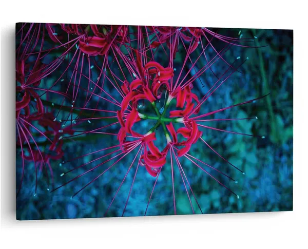 Multicolor_16_X_24_Inch,_Pine_Wood_Framed_Canvas_Paintings_|_For_Home_Decor,_Ready_To_Wall_Hanging,_Premium_Painting_|_For_|_Bedroom,_Living_Room,_Office_Wall_Decoration_|_Wall_Art_Painting,_Ct2440
