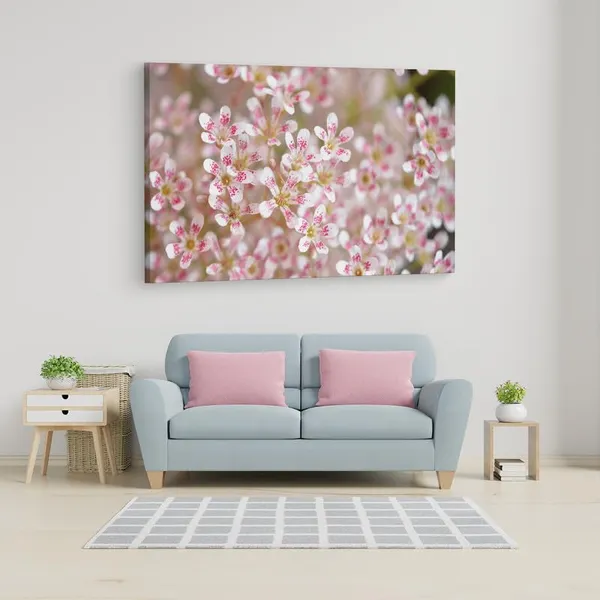 Multicolor_16_X_24_Inch,_Pine_Wood_Framed_Canvas_Paintings_|_For_Home_Decor,_Ready_To_Wall_Hanging,_Premium_Painting_|_For_|_Bedroom,_Living_Room,_Office_Wall_Decoration_|_Wall_Art_Painting,_Ct2441