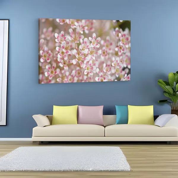 Multicolor_16_X_24_Inch,_Pine_Wood_Framed_Canvas_Paintings_|_For_Home_Decor,_Ready_To_Wall_Hanging,_Premium_Painting_|_For_|_Bedroom,_Living_Room,_Office_Wall_Decoration_|_Wall_Art_Painting,_Ct2441
