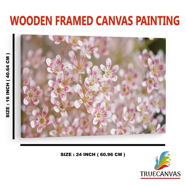 Multicolor_16_X_24_Inch,_Pine_Wood_Framed_Canvas_Paintings_|_For_Home_Decor,_Ready_To_Wall_Hanging,_Premium_Painting_|_For_|_Bedroom,_Living_Room,_Office_Wall_Decoration_|_Wall_Art_Painting,_Ct2441