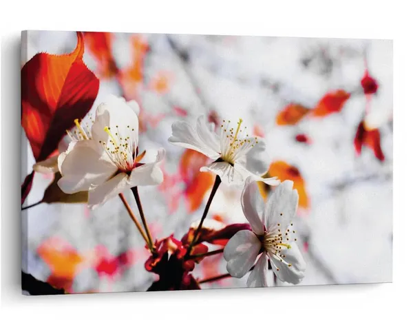 Multicolor_16_X_24_Inch,_Pine_Wood_Framed_Canvas_Paintings_|_For_Home_Decor,_Ready_To_Wall_Hanging,_Premium_Painting_|_For_|_Bedroom,_Living_Room,_Office_Wall_Decoration_|_Wall_Art_Painting,_Ct2442