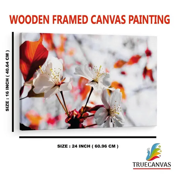 Multicolor_16_X_24_Inch,_Pine_Wood_Framed_Canvas_Paintings_|_For_Home_Decor,_Ready_To_Wall_Hanging,_Premium_Painting_|_For_|_Bedroom,_Living_Room,_Office_Wall_Decoration_|_Wall_Art_Painting,_Ct2442