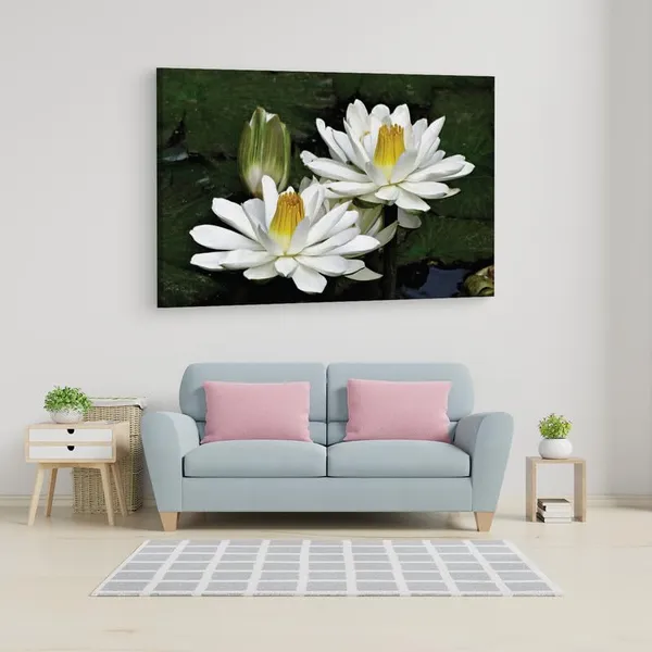 Multicolor_16_X_24_Inch,_Pine_Wood_Framed_Canvas_Paintings_|_For_Home_Decor,_Ready_To_Wall_Hanging,_Premium_Painting_|_For_|_Bedroom,_Living_Room,_Office_Wall_Decoration_|_Wall_Art_Painting,_Ct2444