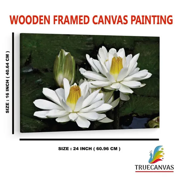 Multicolor_16_X_24_Inch,_Pine_Wood_Framed_Canvas_Paintings_|_For_Home_Decor,_Ready_To_Wall_Hanging,_Premium_Painting_|_For_|_Bedroom,_Living_Room,_Office_Wall_Decoration_|_Wall_Art_Painting,_Ct2444