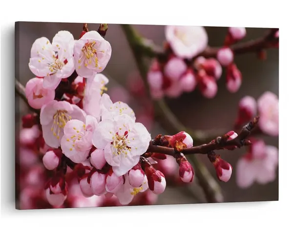 Multicolor_16_X_24_Inch,_Pine_Wood_Framed_Canvas_Paintings_|_For_Home_Decor,_Ready_To_Wall_Hanging,_Premium_Painting_|_For_|_Bedroom,_Living_Room,_Office_Wall_Decoration_|_Wall_Art_Painting,_Ct2445