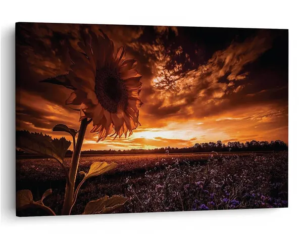 Multicolor_16_X_24_Inch,_Pine_Wood_Framed_Canvas_Paintings_|_For_Home_Decor,_Ready_To_Wall_Hanging,_Premium_Painting_|_For_|_Bedroom,_Living_Room,_Office_Wall_Decoration_|_Wall_Art_Painting,_Ct2446