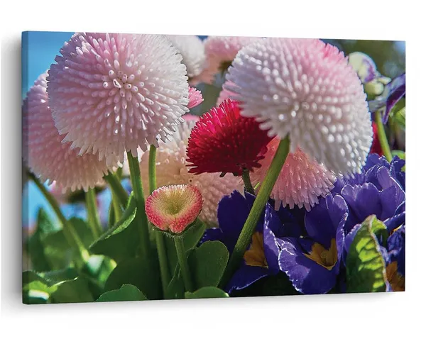 Multicolor_16_X_24_Inch,_Pine_Wood_Framed_Canvas_Paintings_|_For_Home_Decor,_Ready_To_Wall_Hanging,_Premium_Painting_|_For_|_Bedroom,_Living_Room,_Office_Wall_Decoration_|_Wall_Art_Painting,_Ct2447