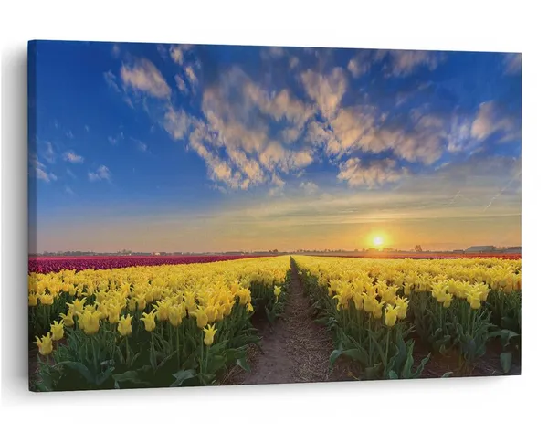 Multicolor_16_X_24_Inch,_Pine_Wood_Framed_Canvas_Paintings_|_For_Home_Decor,_Ready_To_Wall_Hanging,_Premium_Painting_|_For_|_Bedroom,_Living_Room,_Office_Wall_Decoration_|_Wall_Art_Painting,_Ct2448