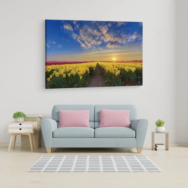 Multicolor_16_X_24_Inch,_Pine_Wood_Framed_Canvas_Paintings_|_For_Home_Decor,_Ready_To_Wall_Hanging,_Premium_Painting_|_For_|_Bedroom,_Living_Room,_Office_Wall_Decoration_|_Wall_Art_Painting,_Ct2448