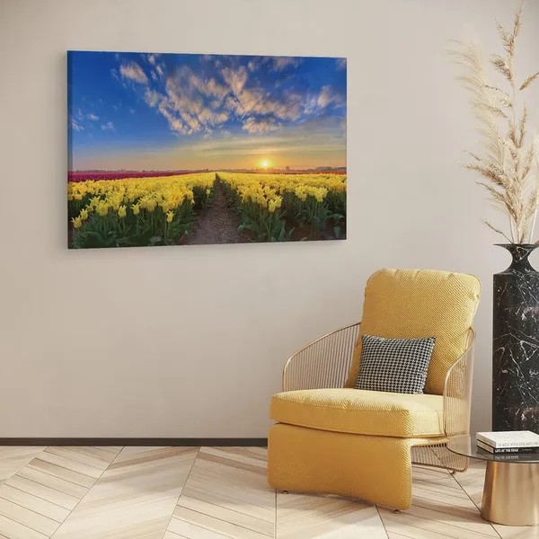 Multicolor_16_X_24_Inch,_Pine_Wood_Framed_Canvas_Paintings_|_For_Home_Decor,_Ready_To_Wall_Hanging,_Premium_Painting_|_For_|_Bedroom,_Living_Room,_Office_Wall_Decoration_|_Wall_Art_Painting,_Ct2448