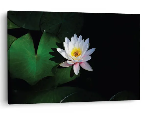 Multicolor_16_X_24_Inch,_Pine_Wood_Framed_Canvas_Paintings_|_For_Home_Decor,_Ready_To_Wall_Hanging,_Premium_Painting_|_For_|_Bedroom,_Living_Room,_Office_Wall_Decoration_|_Wall_Art_Painting,_Ct2450
