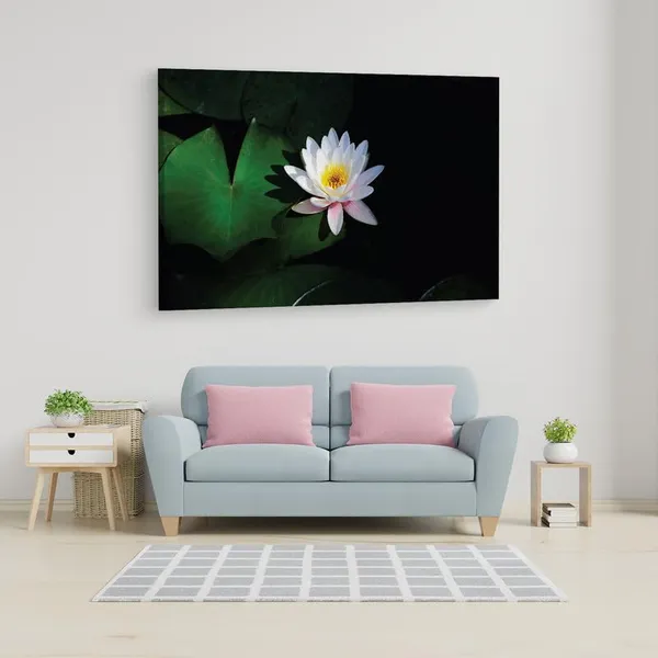 Multicolor_16_X_24_Inch,_Pine_Wood_Framed_Canvas_Paintings_|_For_Home_Decor,_Ready_To_Wall_Hanging,_Premium_Painting_|_For_|_Bedroom,_Living_Room,_Office_Wall_Decoration_|_Wall_Art_Painting,_Ct2450