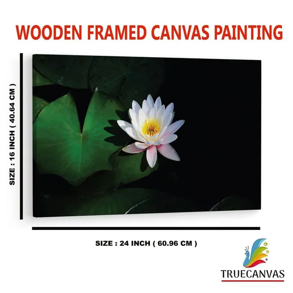 Multicolor_16_X_24_Inch,_Pine_Wood_Framed_Canvas_Paintings_|_For_Home_Decor,_Ready_To_Wall_Hanging,_Premium_Painting_|_For_|_Bedroom,_Living_Room,_Office_Wall_Decoration_|_Wall_Art_Painting,_Ct2450