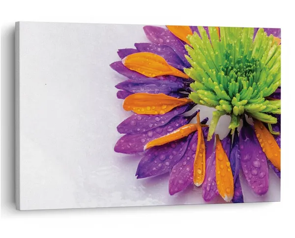 Multicolor_16_X_24_Inch,_Pine_Wood_Framed_Canvas_Paintings_|_For_Home_Decor,_Ready_To_Wall_Hanging,_Premium_Painting_|_For_|_Bedroom,_Living_Room,_Office_Wall_Decoration_|_Wall_Art_Painting,_Ct2452