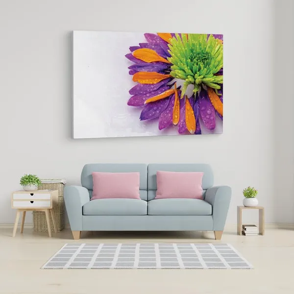 Multicolor_16_X_24_Inch,_Pine_Wood_Framed_Canvas_Paintings_|_For_Home_Decor,_Ready_To_Wall_Hanging,_Premium_Painting_|_For_|_Bedroom,_Living_Room,_Office_Wall_Decoration_|_Wall_Art_Painting,_Ct2452