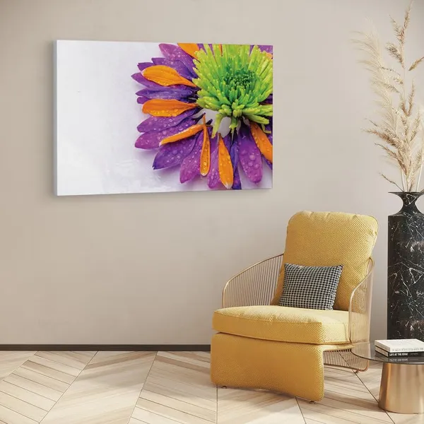 Multicolor_16_X_24_Inch,_Pine_Wood_Framed_Canvas_Paintings_|_For_Home_Decor,_Ready_To_Wall_Hanging,_Premium_Painting_|_For_|_Bedroom,_Living_Room,_Office_Wall_Decoration_|_Wall_Art_Painting,_Ct2452