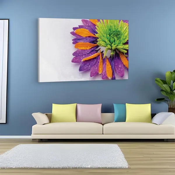 Multicolor_16_X_24_Inch,_Pine_Wood_Framed_Canvas_Paintings_|_For_Home_Decor,_Ready_To_Wall_Hanging,_Premium_Painting_|_For_|_Bedroom,_Living_Room,_Office_Wall_Decoration_|_Wall_Art_Painting,_Ct2452