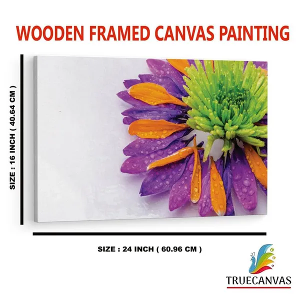 Multicolor_16_X_24_Inch,_Pine_Wood_Framed_Canvas_Paintings_|_For_Home_Decor,_Ready_To_Wall_Hanging,_Premium_Painting_|_For_|_Bedroom,_Living_Room,_Office_Wall_Decoration_|_Wall_Art_Painting,_Ct2452
