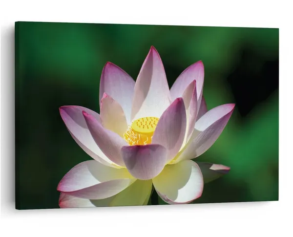 Multicolor_16_X_24_Inch,_Pine_Wood_Framed_Canvas_Paintings_|_For_Home_Decor,_Ready_To_Wall_Hanging,_Premium_Painting_|_For_|_Bedroom,_Living_Room,_Office_Wall_Decoration_|_Wall_Art_Painting,_Ct2453