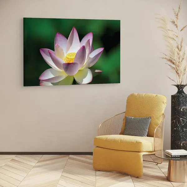 Multicolor_16_X_24_Inch,_Pine_Wood_Framed_Canvas_Paintings_|_For_Home_Decor,_Ready_To_Wall_Hanging,_Premium_Painting_|_For_|_Bedroom,_Living_Room,_Office_Wall_Decoration_|_Wall_Art_Painting,_Ct2453