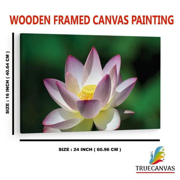 Multicolor_16_X_24_Inch,_Pine_Wood_Framed_Canvas_Paintings_|_For_Home_Decor,_Ready_To_Wall_Hanging,_Premium_Painting_|_For_|_Bedroom,_Living_Room,_Office_Wall_Decoration_|_Wall_Art_Painting,_Ct2453
