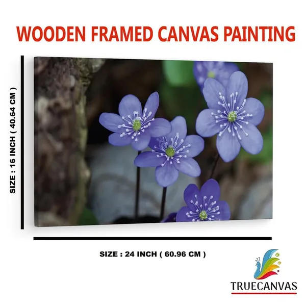 Multicolor_16_X_24_Inch,_Pine_Wood_Framed_Canvas_Paintings_|_For_Home_Decor,_Ready_To_Wall_Hanging,_Premium_Painting_|_For_|_Bedroom,_Living_Room,_Office_Wall_Decoration_|_Wall_Art_Painting,_Ct2455