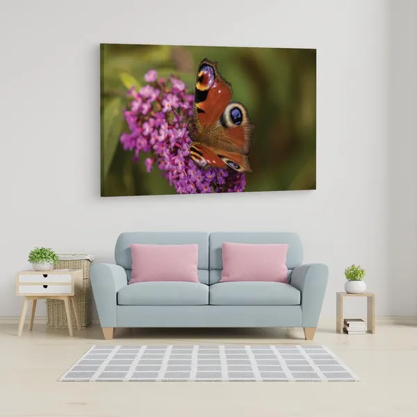 Multicolor_16_X_24_Inch,_Pine_Wood_Framed_Canvas_Paintings_|_For_Home_Decor,_Ready_To_Wall_Hanging,_Premium_Painting_|_For_|_Bedroom,_Living_Room,_Office_Wall_Decoration_|_Wall_Art_Painting,_Ct2457