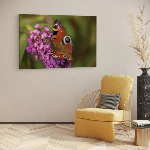 Multicolor_16_X_24_Inch,_Pine_Wood_Framed_Canvas_Paintings_|_For_Home_Decor,_Ready_To_Wall_Hanging,_Premium_Painting_|_For_|_Bedroom,_Living_Room,_Office_Wall_Decoration_|_Wall_Art_Painting,_Ct2457