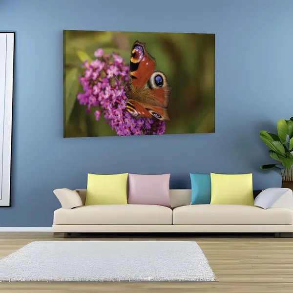Multicolor_16_X_24_Inch,_Pine_Wood_Framed_Canvas_Paintings_|_For_Home_Decor,_Ready_To_Wall_Hanging,_Premium_Painting_|_For_|_Bedroom,_Living_Room,_Office_Wall_Decoration_|_Wall_Art_Painting,_Ct2457