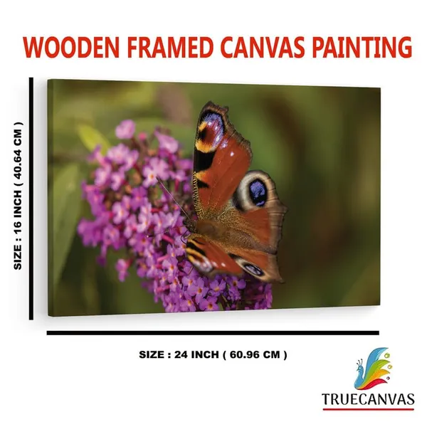 Multicolor_16_X_24_Inch,_Pine_Wood_Framed_Canvas_Paintings_|_For_Home_Decor,_Ready_To_Wall_Hanging,_Premium_Painting_|_For_|_Bedroom,_Living_Room,_Office_Wall_Decoration_|_Wall_Art_Painting,_Ct2457