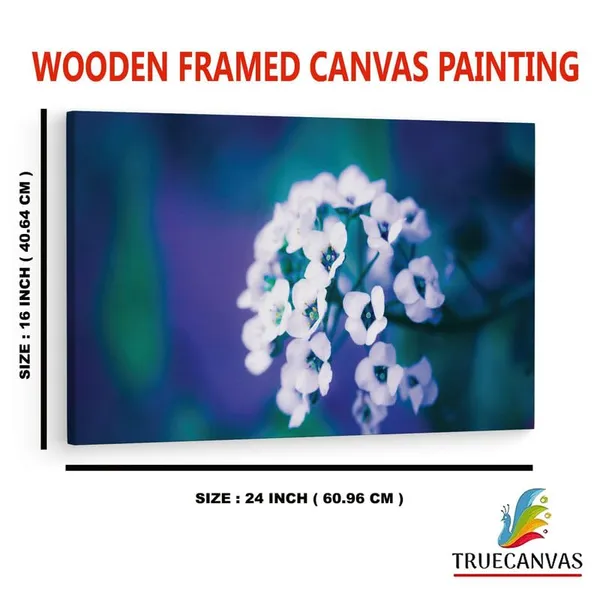 Multicolor_16_X_24_Inch,_Pine_Wood_Framed_Canvas_Paintings_|_For_Home_Decor,_Ready_To_Wall_Hanging,_Premium_Painting_|_For_|_Bedroom,_Living_Room,_Office_Wall_Decoration_|_Wall_Art_Painting,_Ct2458