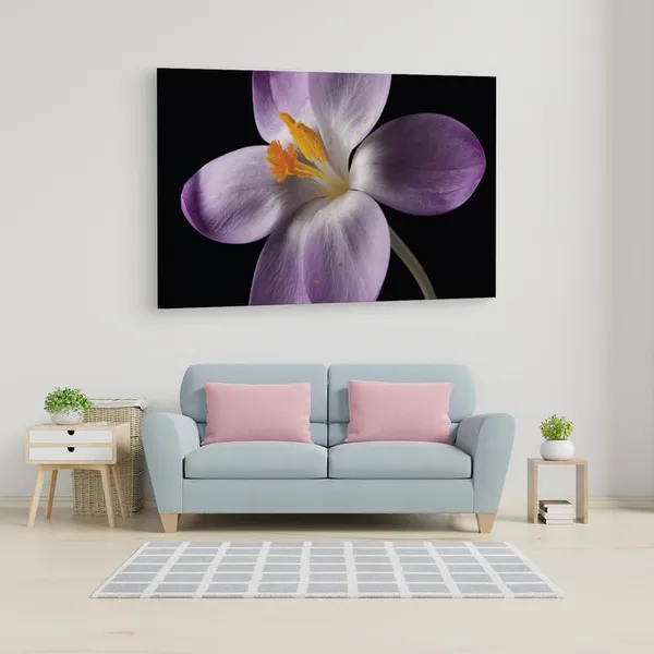 Multicolor_16_X_24_Inch,_Pine_Wood_Framed_Canvas_Paintings_|_For_Home_Decor,_Ready_To_Wall_Hanging,_Premium_Painting_|_For_|_Bedroom,_Living_Room,_Office_Wall_Decoration_|_Wall_Art_Painting,_Ct2459