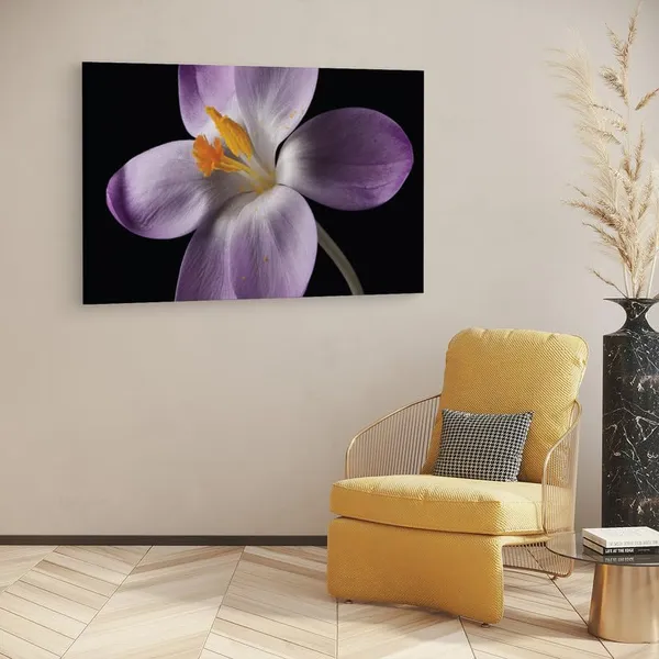 Multicolor_16_X_24_Inch,_Pine_Wood_Framed_Canvas_Paintings_|_For_Home_Decor,_Ready_To_Wall_Hanging,_Premium_Painting_|_For_|_Bedroom,_Living_Room,_Office_Wall_Decoration_|_Wall_Art_Painting,_Ct2459
