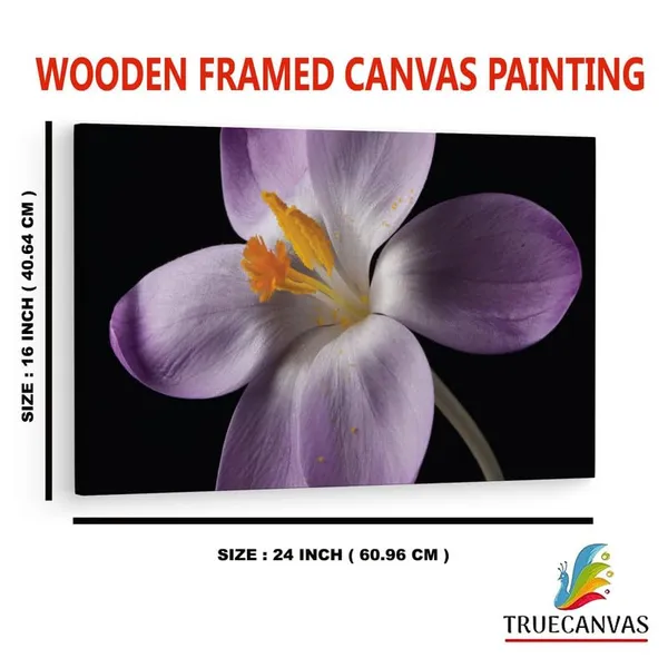 Multicolor_16_X_24_Inch,_Pine_Wood_Framed_Canvas_Paintings_|_For_Home_Decor,_Ready_To_Wall_Hanging,_Premium_Painting_|_For_|_Bedroom,_Living_Room,_Office_Wall_Decoration_|_Wall_Art_Painting,_Ct2459